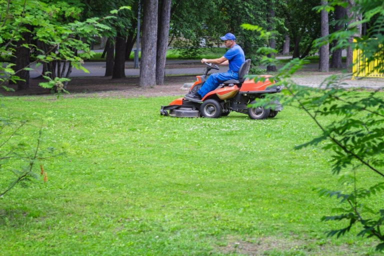 Essential Garden Services for New Homeowners