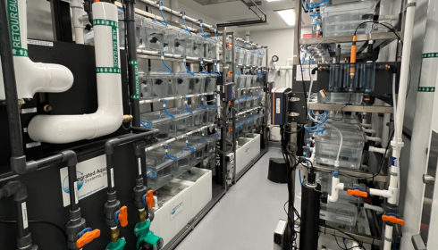 aqua system water softener